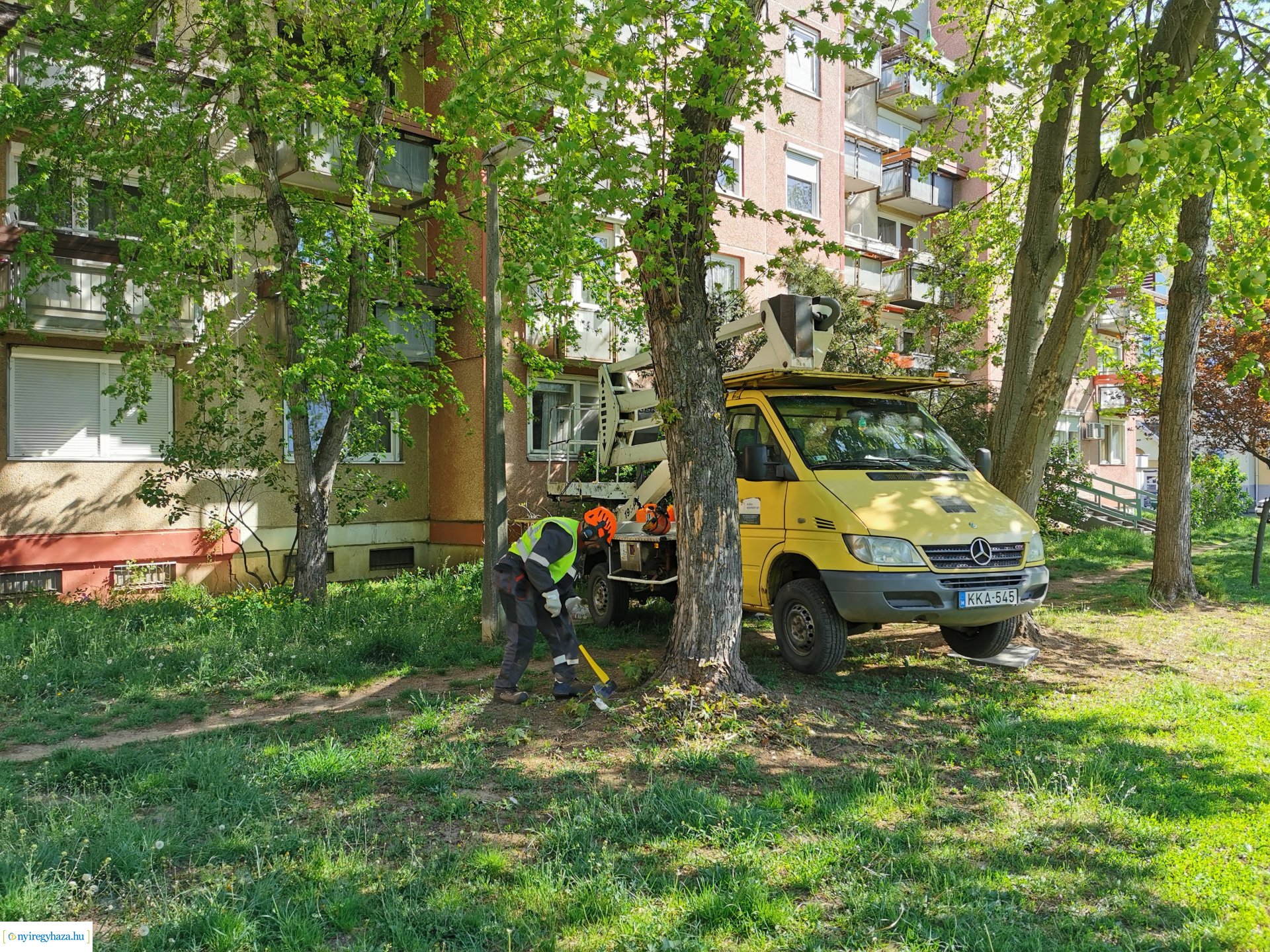 Ágvágás Jelvény utca