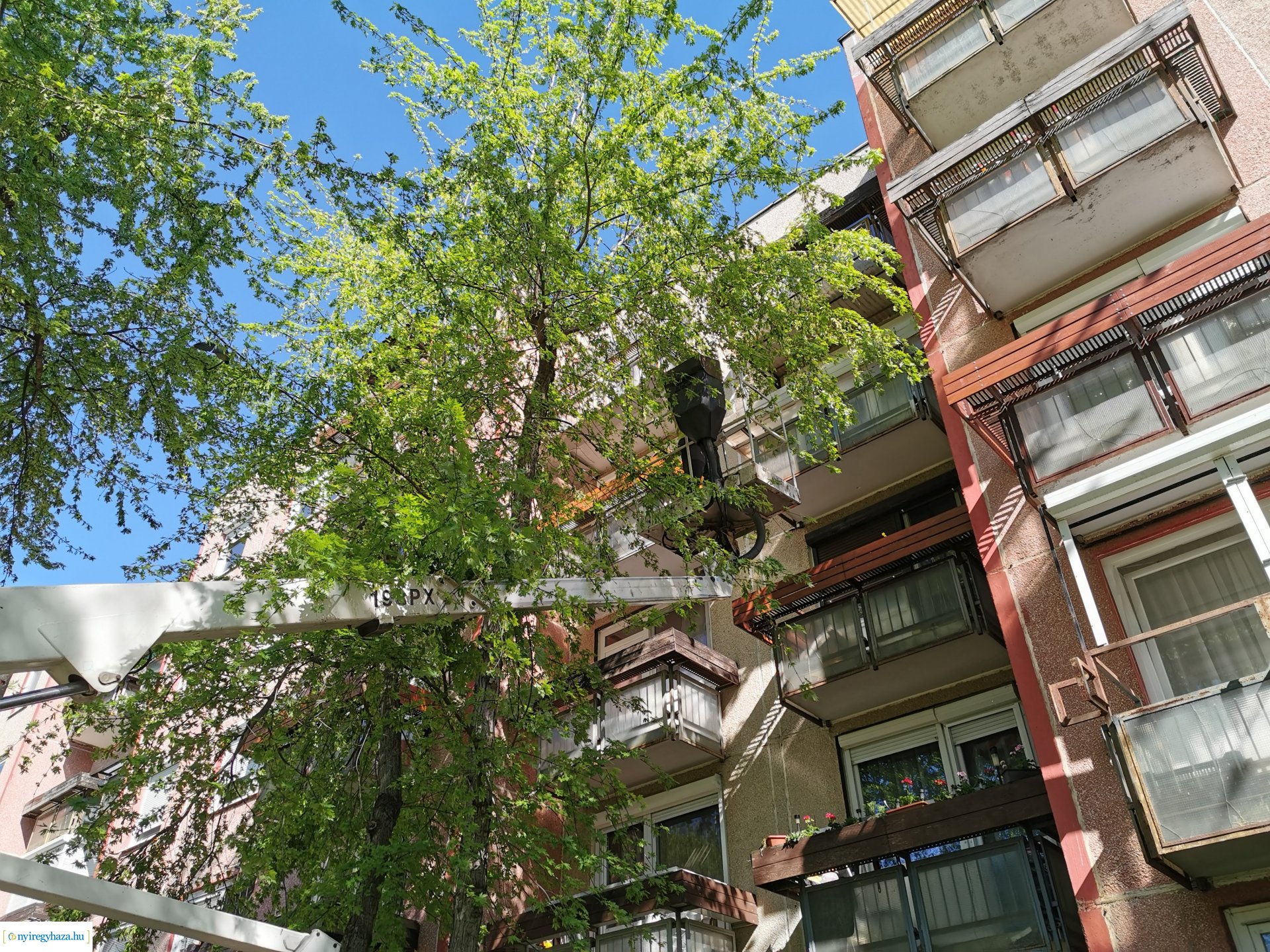 Ágvágás Jelvény utca