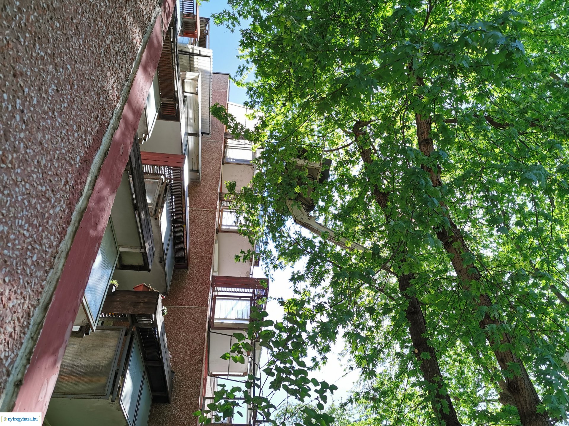 Ágvágás Jelvény utca