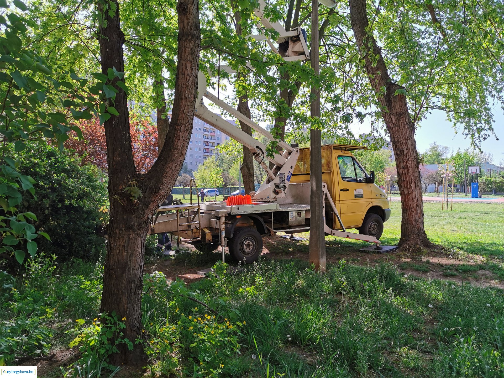 Ágvágás Jelvény utca