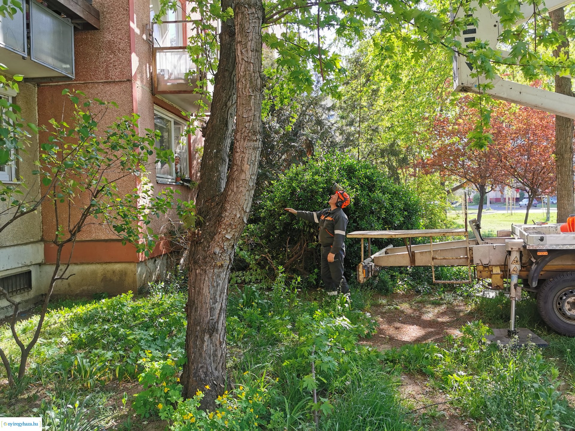 Ágvágás Jelvény utca