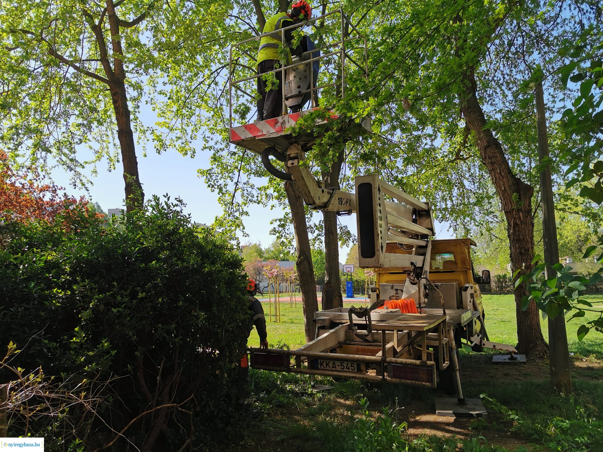 Ágvágás Jelvény utca