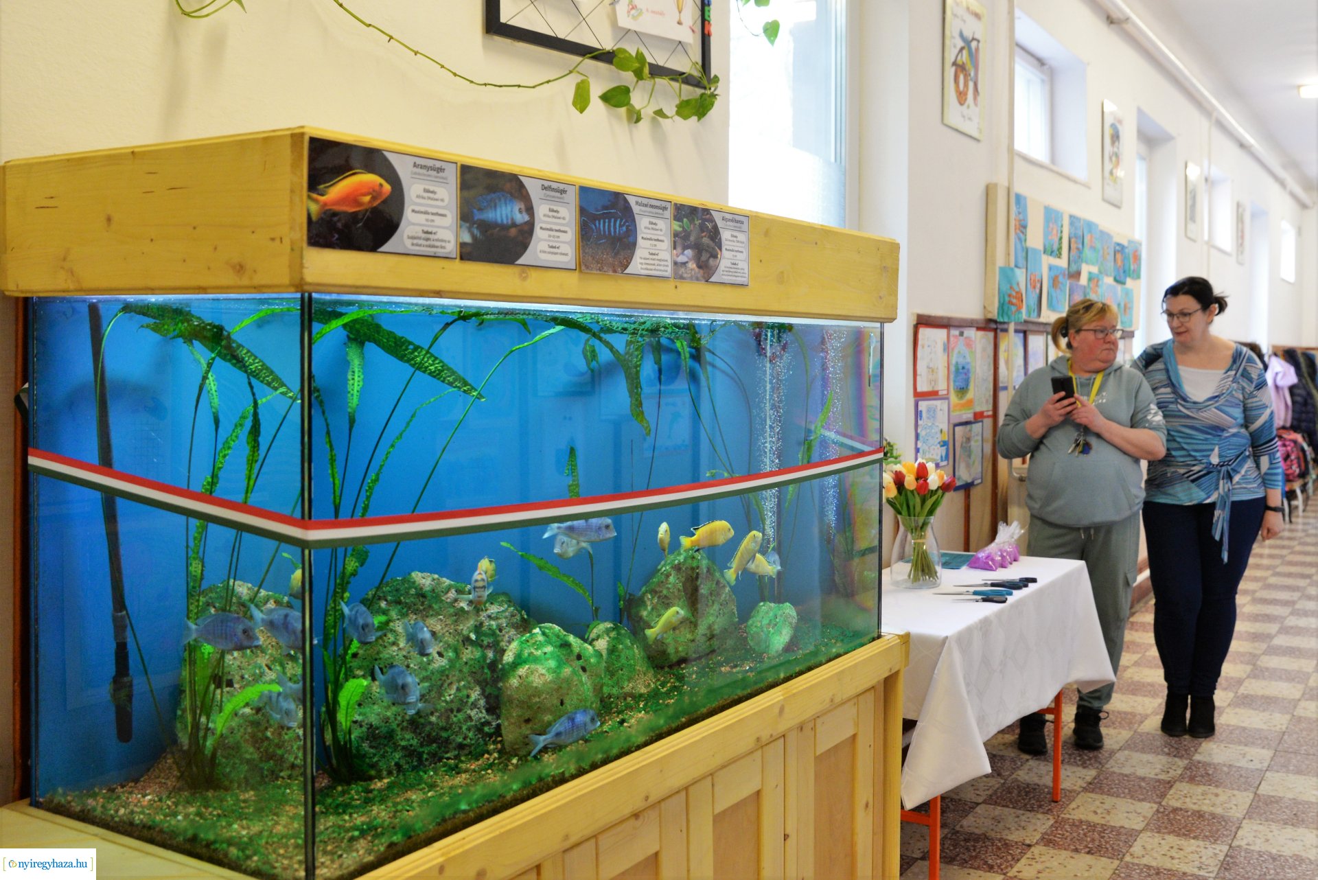 Akvárium átadó ünnepség a Szabó Lőrinc tagintézményben