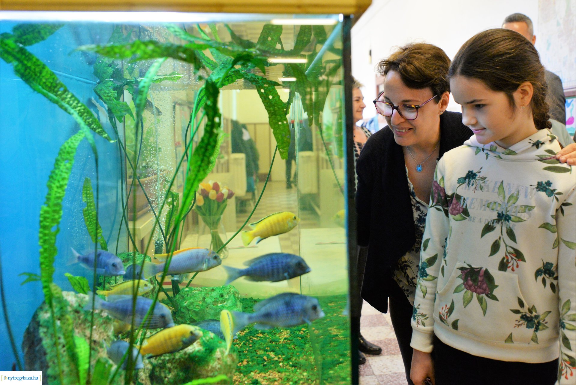 Akvárium átadó ünnepség a Szabó Lőrinc tagintézményben