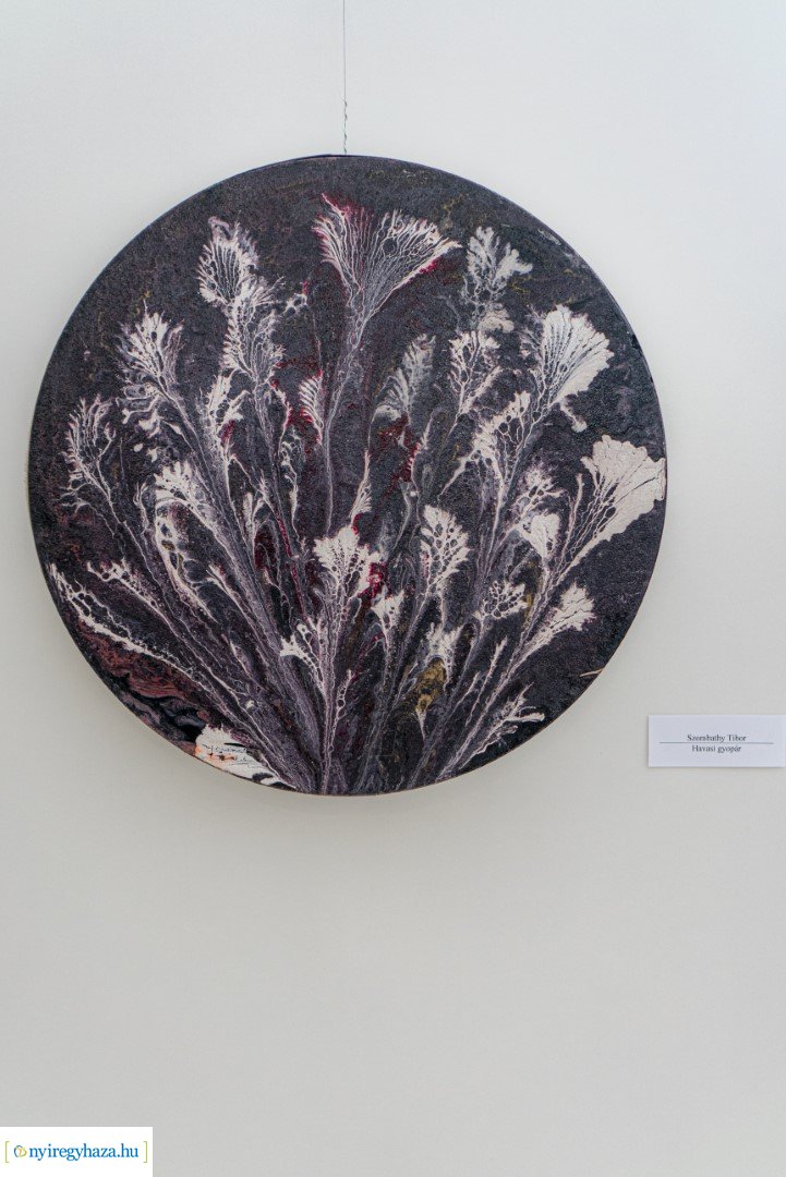 "Alkotó idősek" kiállítás megnyitó a VMKK-ban