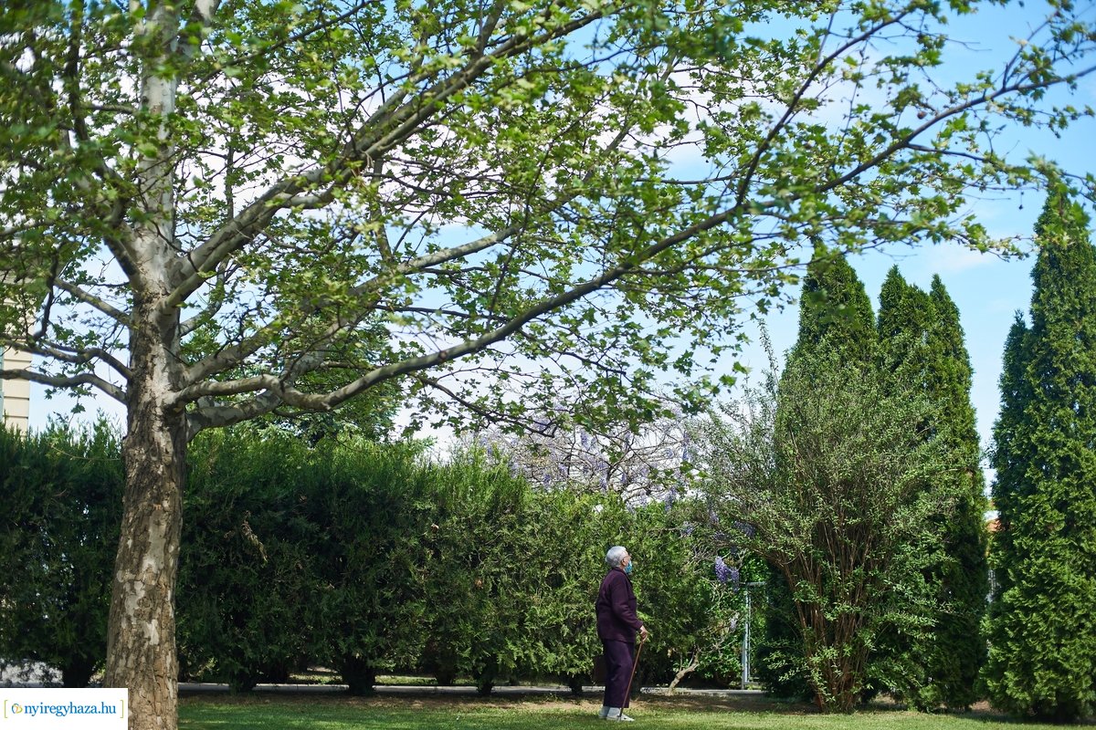 Államtitkári látogatás a Kálvineumban