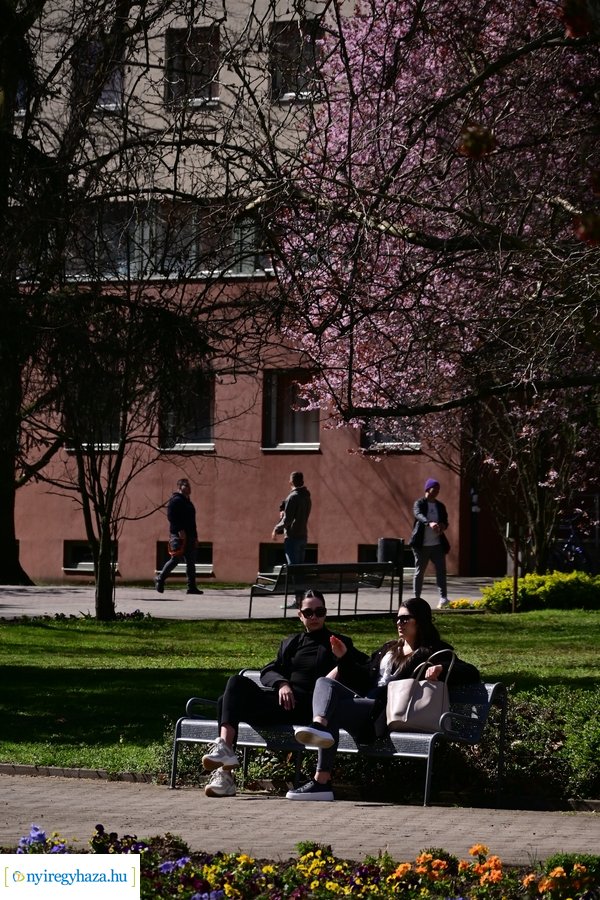 Állásbörze a Nyíregyházi Egyetemen 2024327