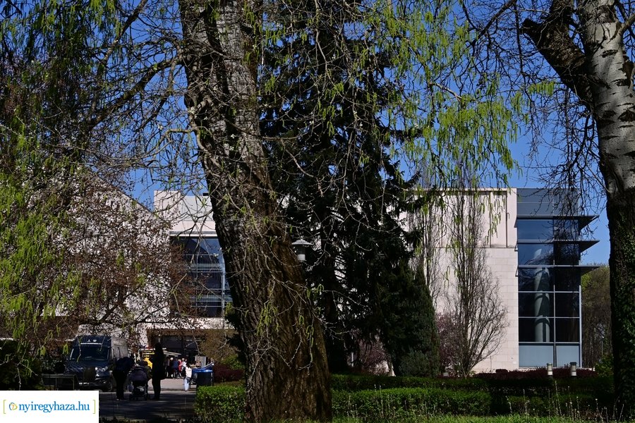 Állásbörze a Nyíregyházi Egyetemen 2024327