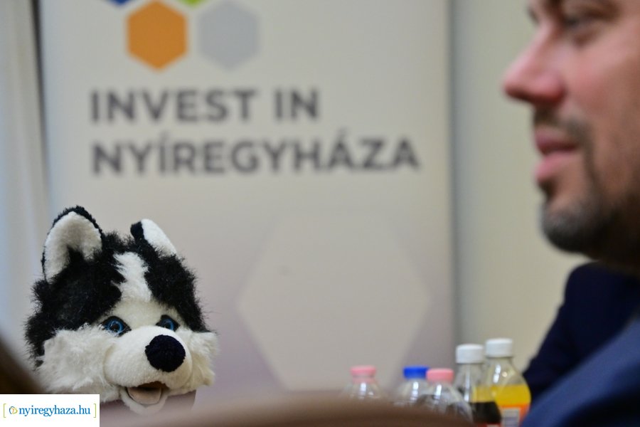 Állat és kutyabarát térkép Nyíregyházán