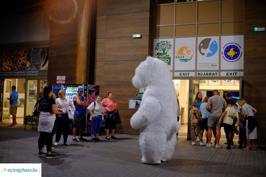 Állatkertek Éjszakája 2024 - Nyíregyháza