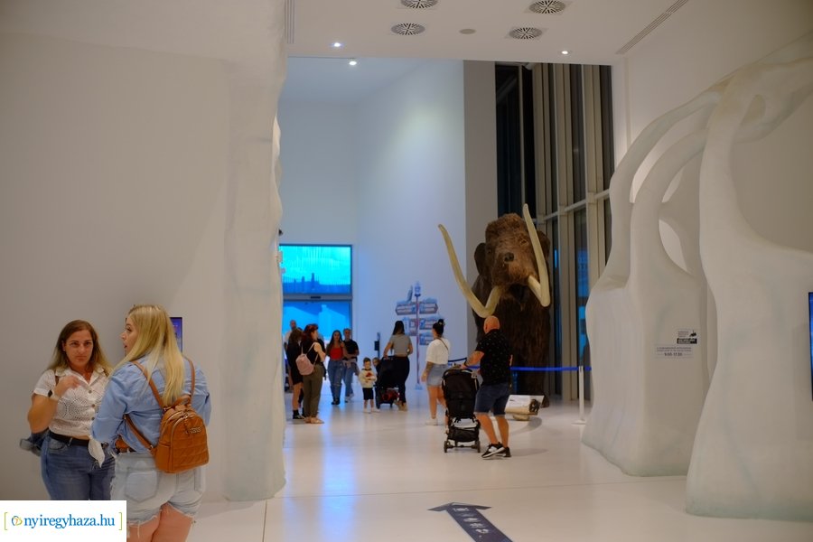 Állatkertek Éjszakája 2024 - Nyíregyháza