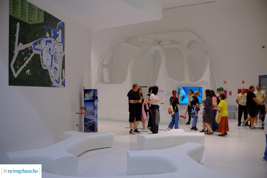 Állatkertek Éjszakája 2024 - Nyíregyháza