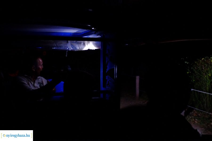 Állatkertek Éjszakája 2024 - Nyíregyháza