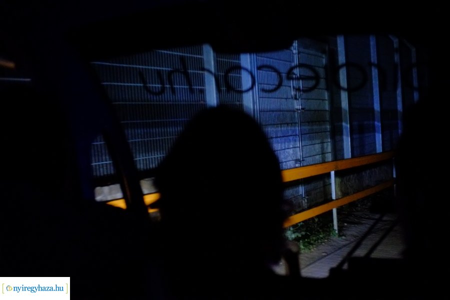 Állatkertek Éjszakája 2024 - Nyíregyháza