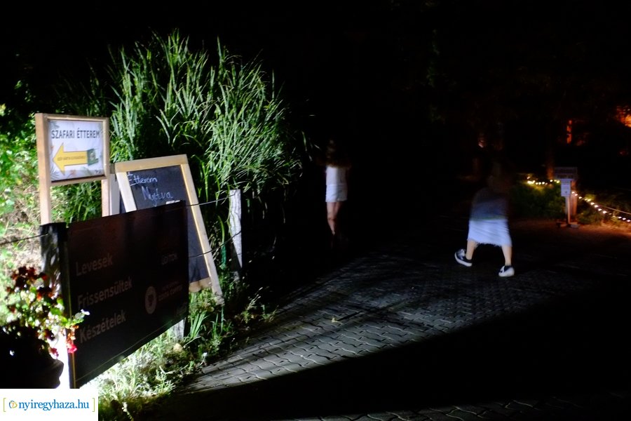 Állatkertek Éjszakája 2024 - Nyíregyháza