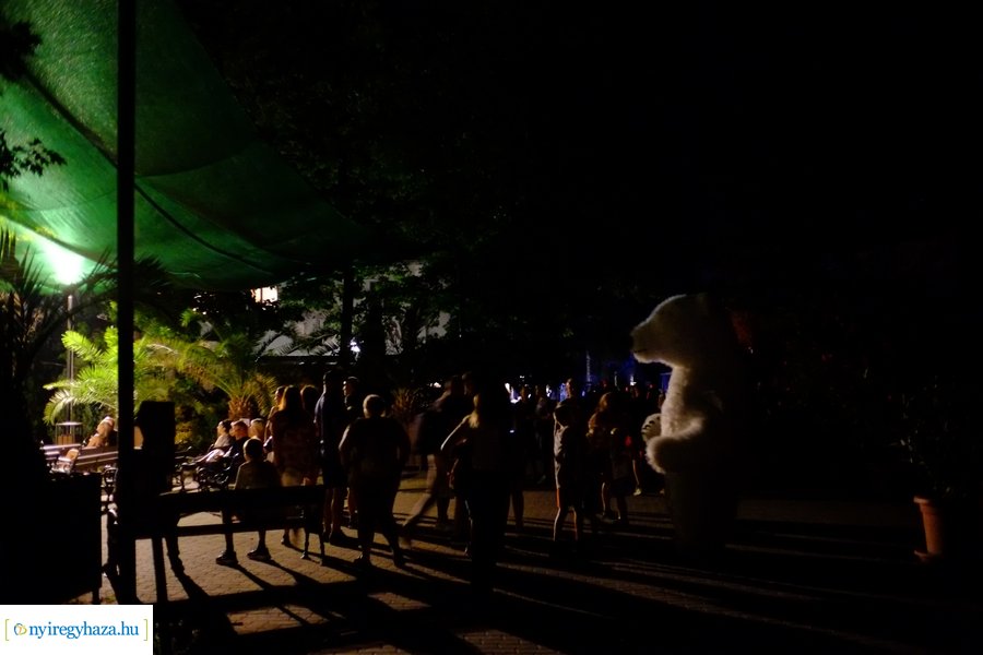 Állatkertek Éjszakája 2024 - Nyíregyháza