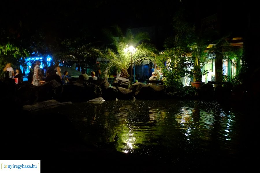 Állatkertek Éjszakája 2024 - Nyíregyháza