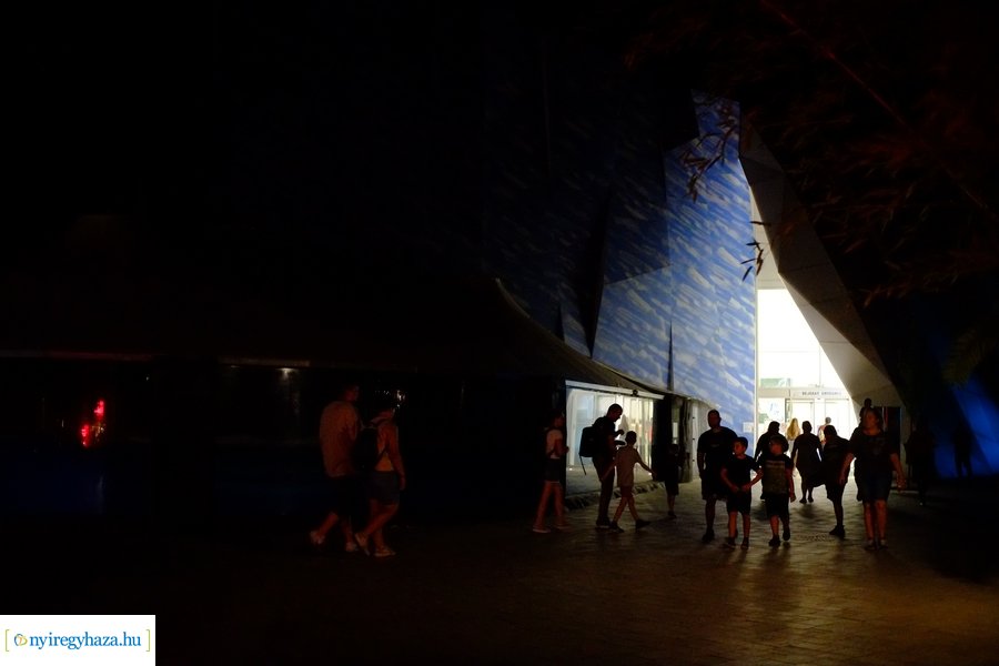 Állatkertek Éjszakája 2024 - Nyíregyháza