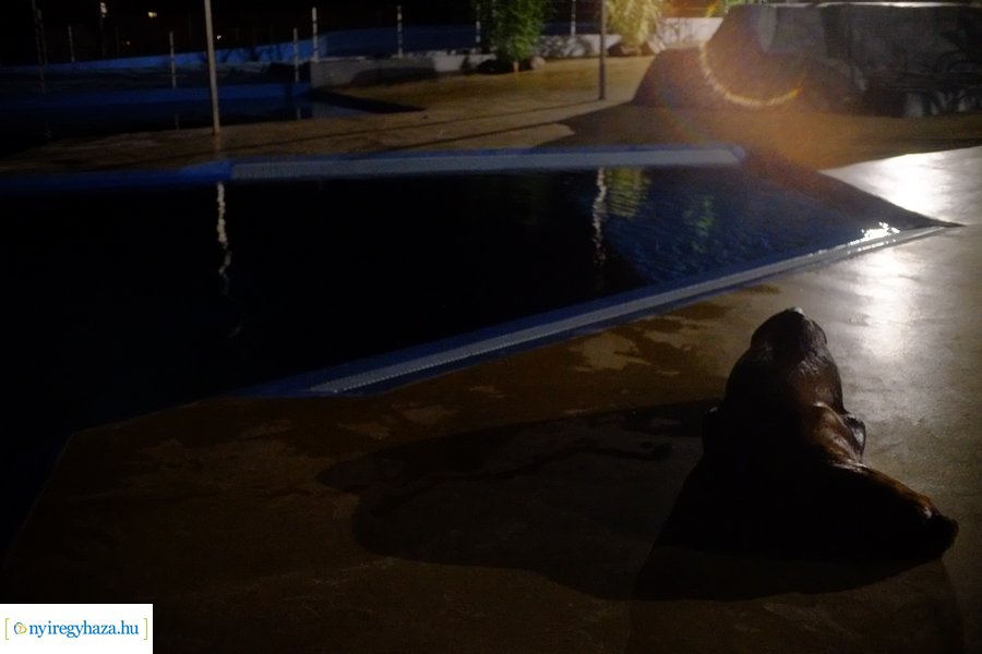 Állatkertek Éjszakája 2024 - Nyíregyháza