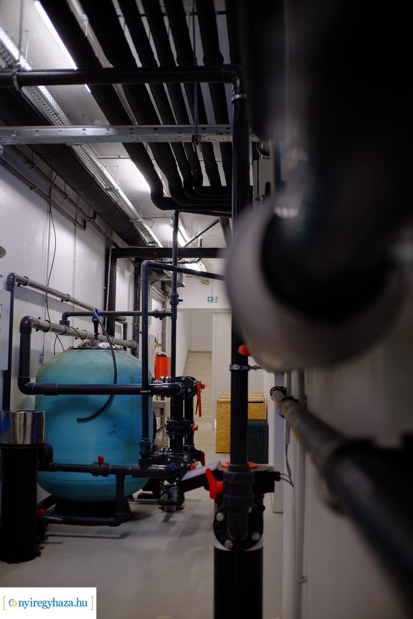 Állatkertek Éjszakája 2024 - Nyíregyháza