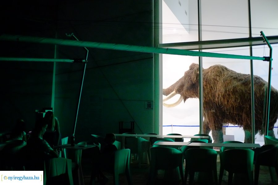 Állatkertek Éjszakája 2024 - Nyíregyháza