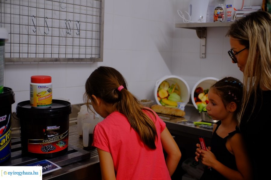 Állatkertek Éjszakája 2024 - Nyíregyháza