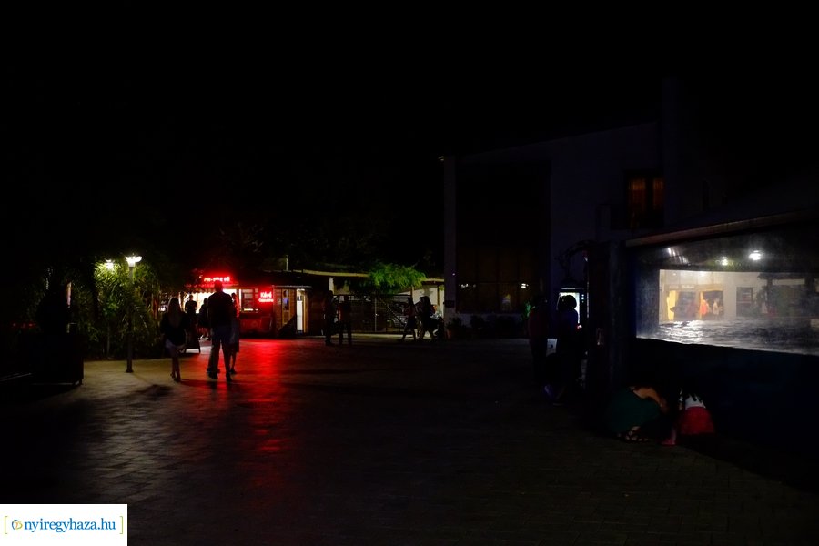 Állatkertek Éjszakája 2024 - Nyíregyháza