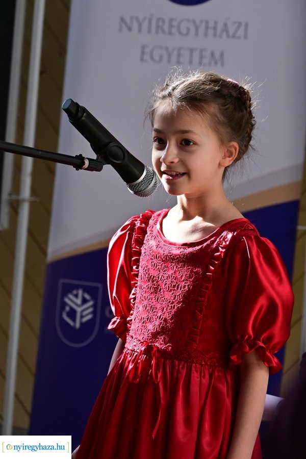 Állatok védelme pályázat nyertesei 2024