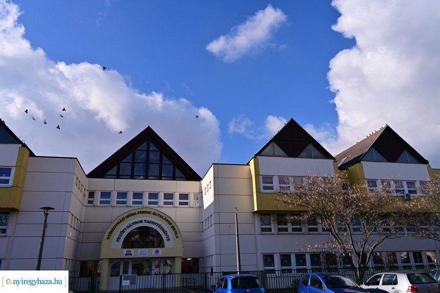 Állatok védelme pályázat nyertesei 2024