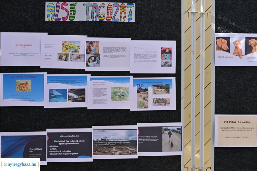 Állatok védelme pályázat nyertesei 2024