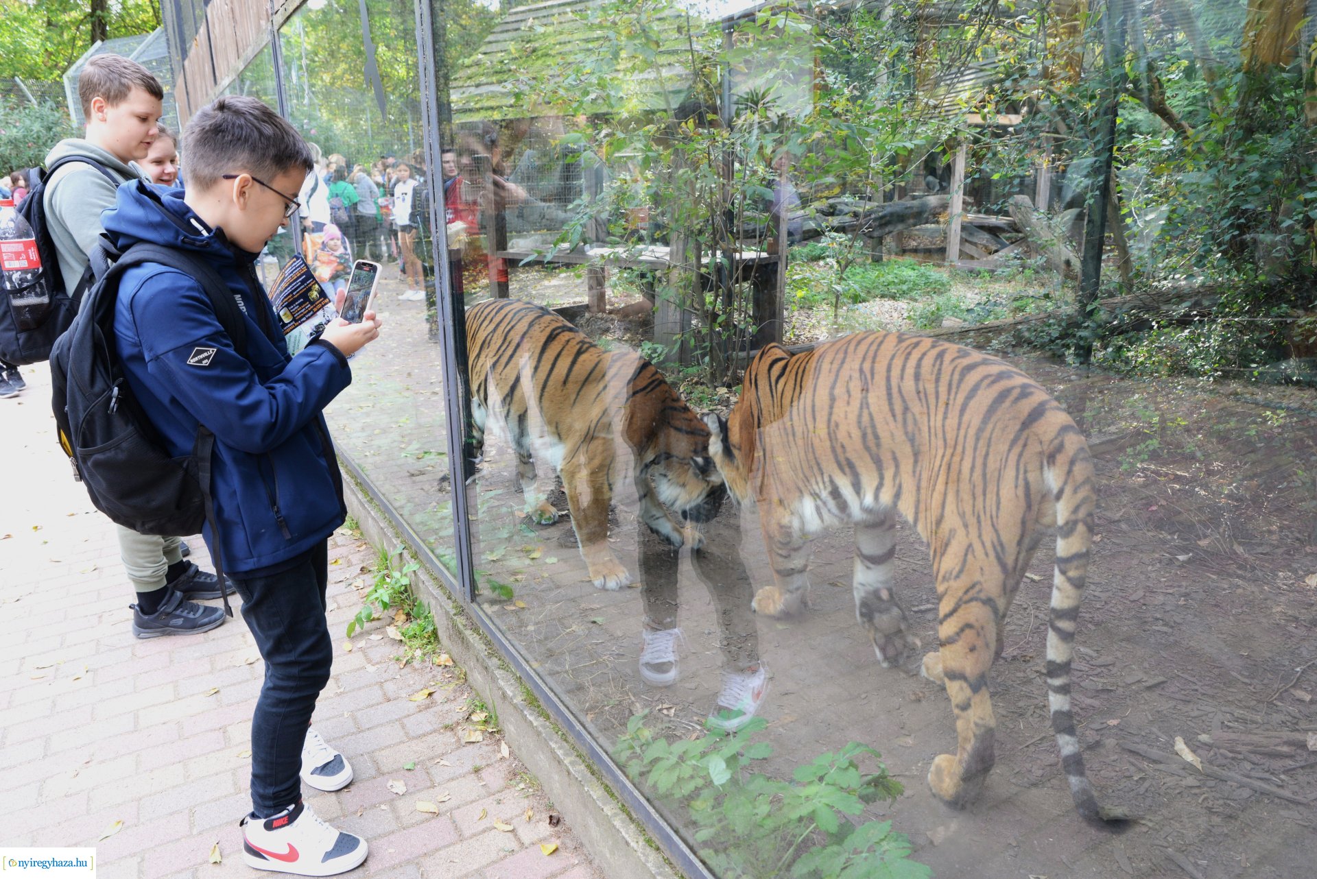 Állatok Világnapja a Nyíregyházi Állatparkban - 2023