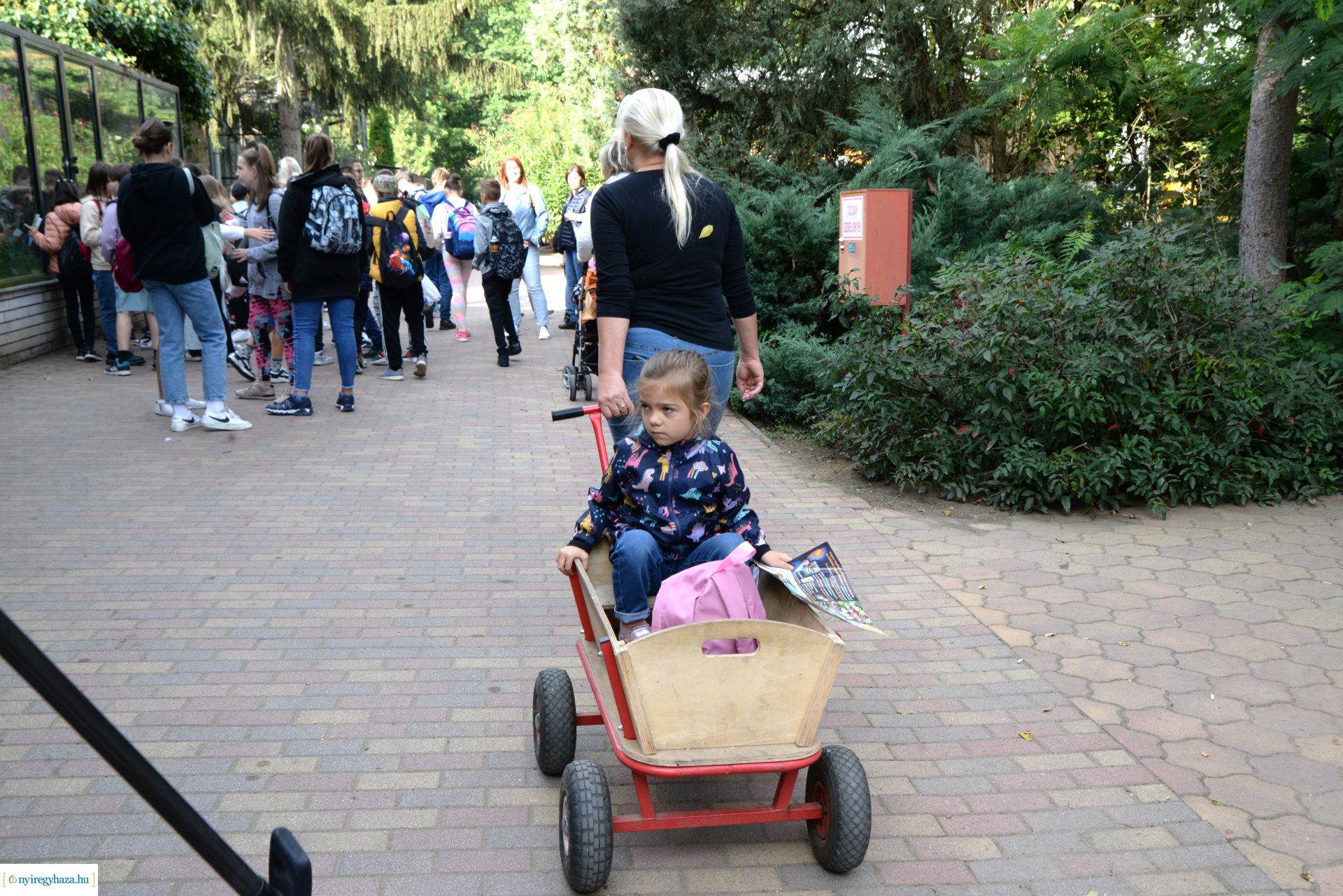 Állatok Világnapja a Nyíregyházi Állatparkban - 2023