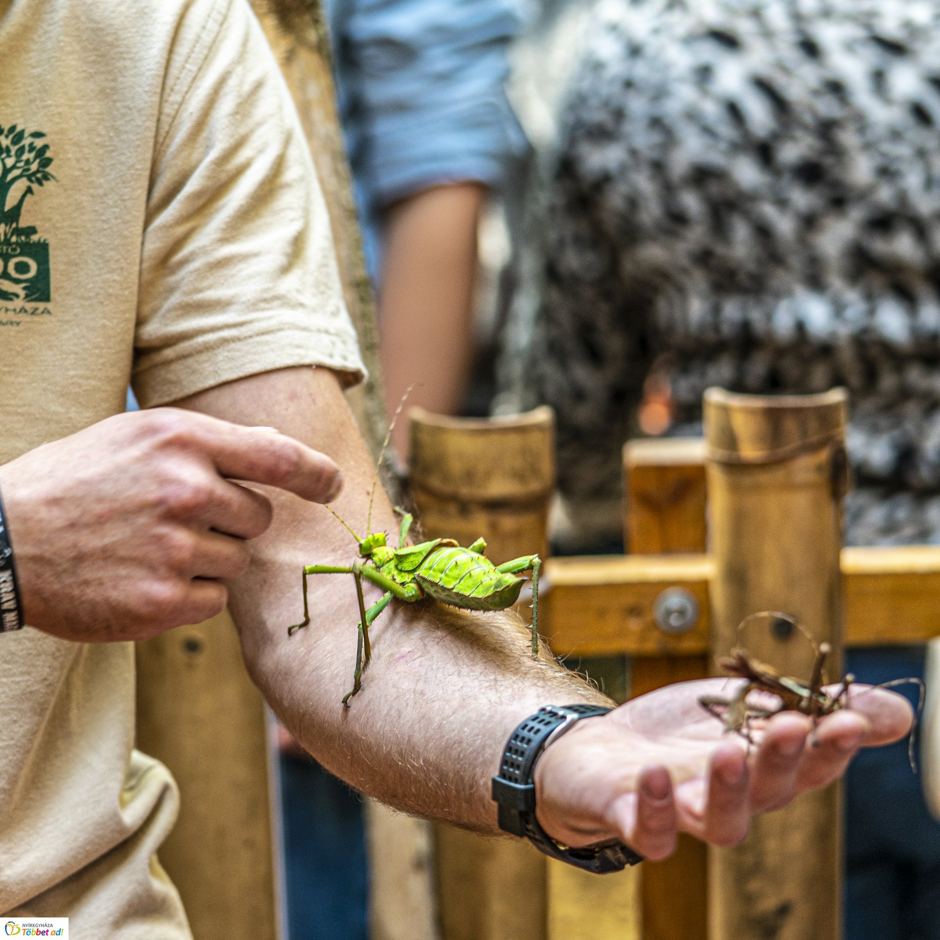 Állatok világnapja a Nyíregyházi Állatparkban