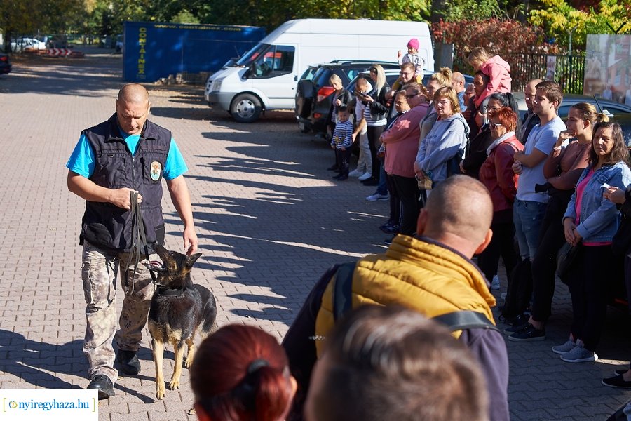 Állatok Világnapja az Állatparkban