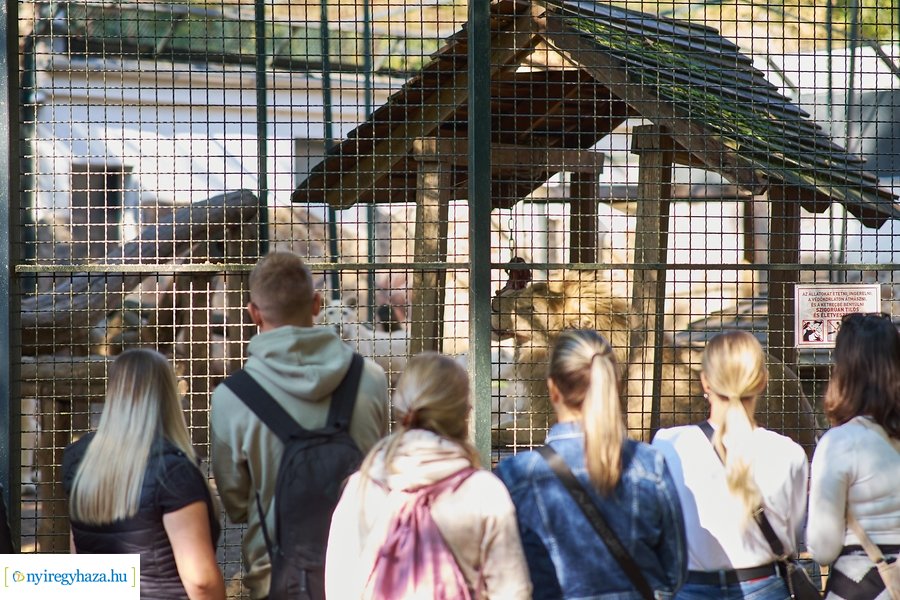 Állatok Világnapja az Állatparkban