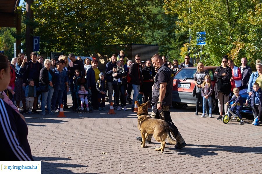 Állatok Világnapja az Állatparkban