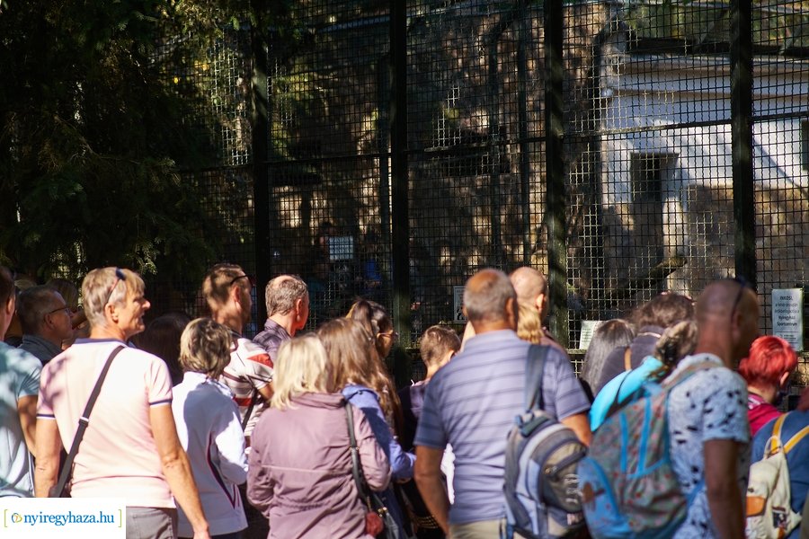 Állatok Világnapja az Állatparkban