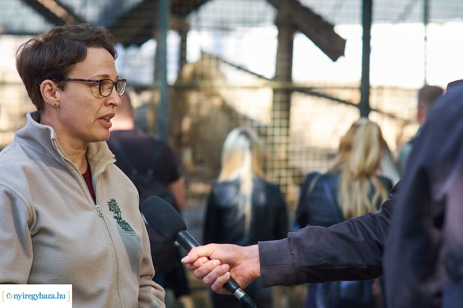 Állatok Világnapja az Állatparkban