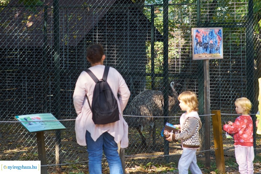 Állatok Világnapja az Állatparkban