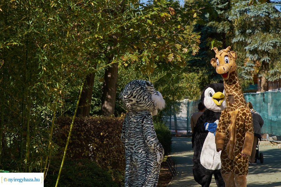 Állatok Világnapja az Állatparkban