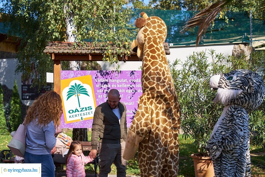 Állatok Világnapja az Állatparkban