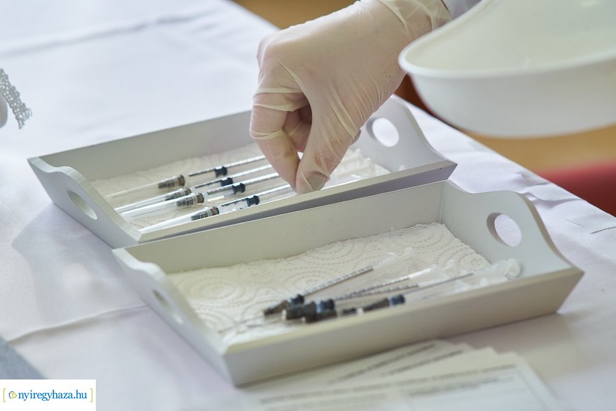 Állatpark dolgozóit oltották a koronavírus elleni vakcinával