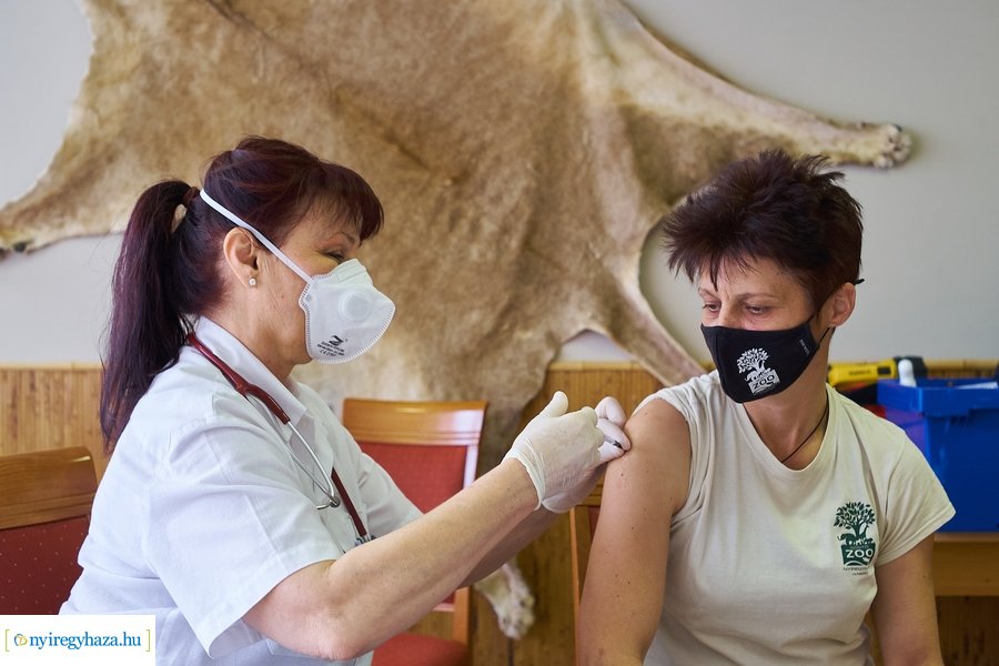 Állatpark dolgozóit oltották a koronavírus elleni vakcinával