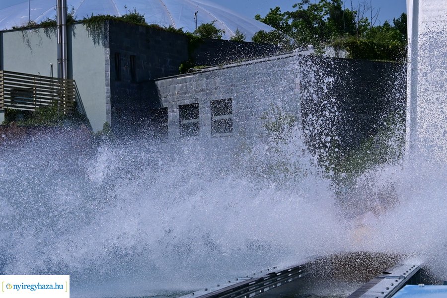 Állatparki wellness