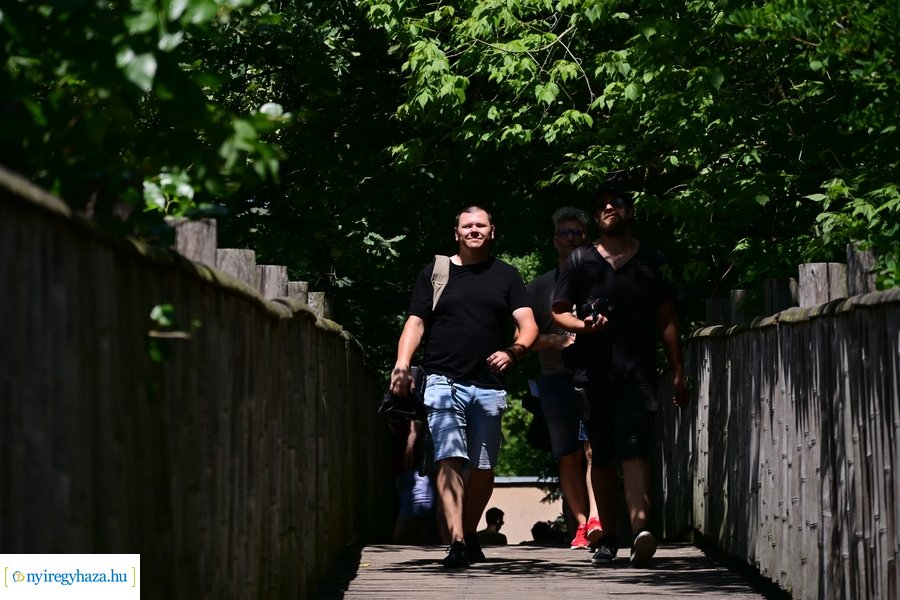 Állatparki wellness