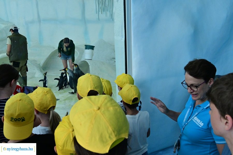 Állatparki wellness