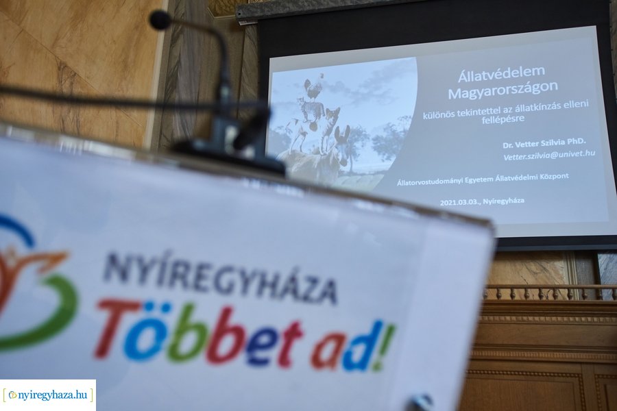 Állatvédelmi kerekasztal Nyíregyházán