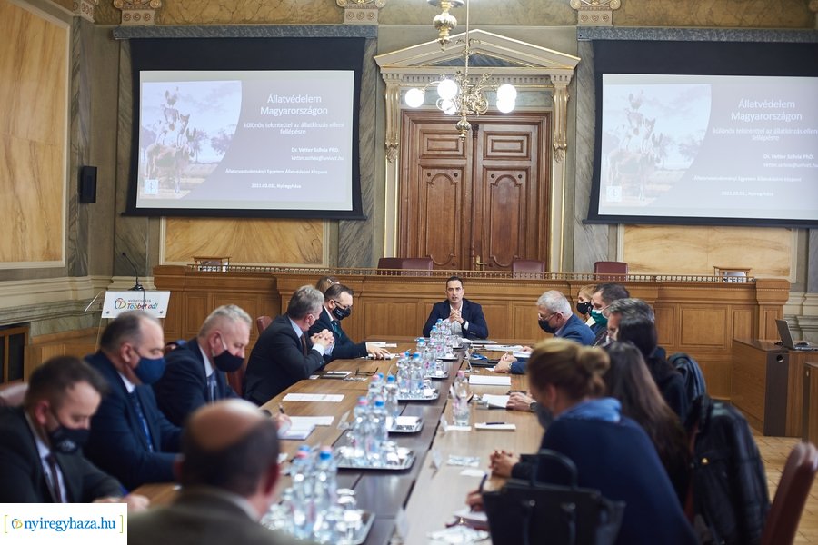 Állatvédelmi kerekasztal Nyíregyházán