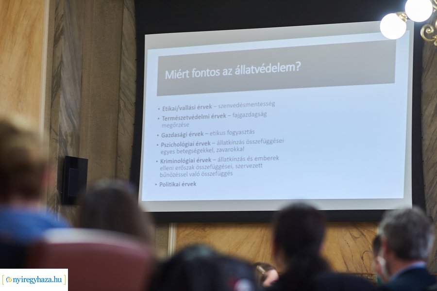 Állatvédelmi kerekasztal Nyíregyházán