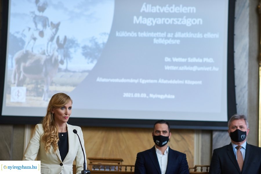 Állatvédelmi kerekasztal Nyíregyházán